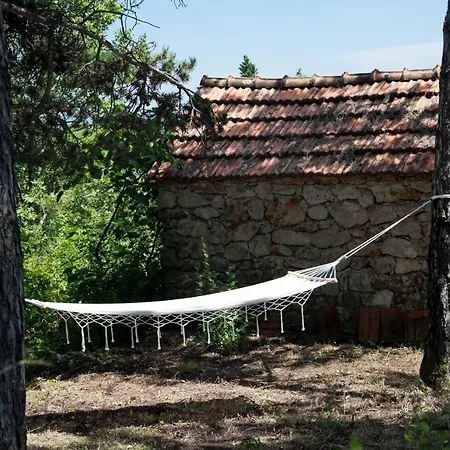 Kucica U Cvijecu