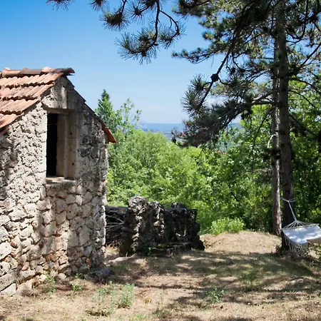 Tanja Apartman