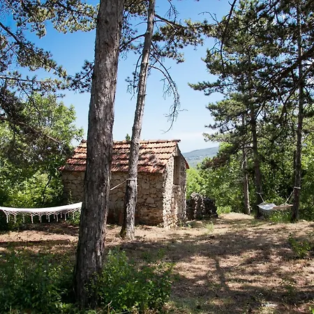 Apartment Kucica U Cvijecu Imotski