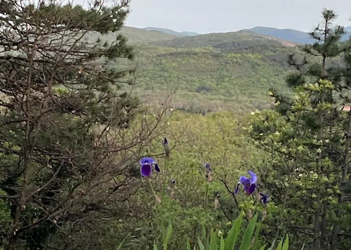 Tanja Apartman Imotski