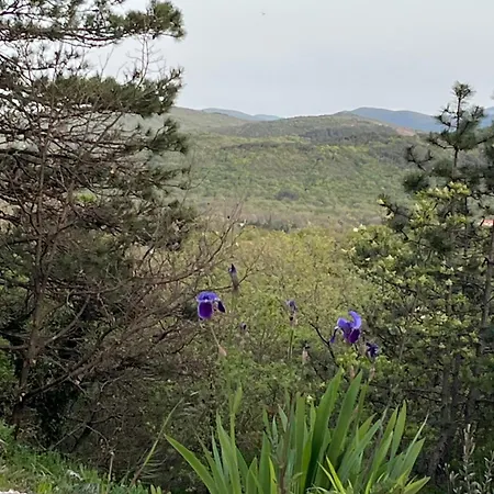 Tanja Apartamento Imotski